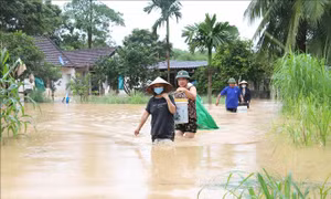 Các tỉnh từ Thanh Hóa đến Hà Tĩnh, miền núi phía Bắc ứng phó với mưa lớn