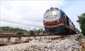 TP Hồ Chí Minh: Tàu hỏa dừng khẩn cấp khi gác chắn không được đóng