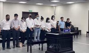 Cựu Chủ tịch Vimedimex bị tuyên phạt 36 tháng tù