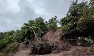 Philippines: Bão Matmo tiếp tục mạnh thêm