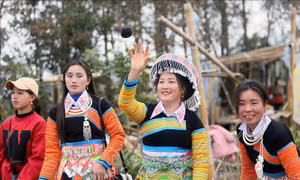 Giảm thiểu mang thai ngoài ý muốn và phá thai không an toàn