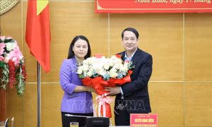 Ông Mai Văn Tuất điều hành hoạt động của Ban Chấp hành, Ban Thường vụ Tỉnh ủy Ninh Bình