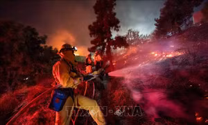 Tổng thống Mỹ và Thống đốc California 'khẩu chiến' về cháy rừng