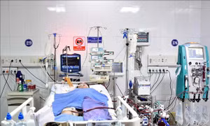 Cứu sống mẹ con sản phụ nguy kịch bằng kỹ thuật ECMO