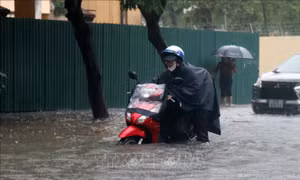 Mưa to, nhiều tuyến đường ở thành phố Vinh ngập sâu