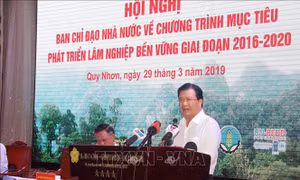 Phó Thủ tướng Trịnh Đình Dũng: Phải kiểm soát chặt việc chuyển mục đích sử dụng rừng 