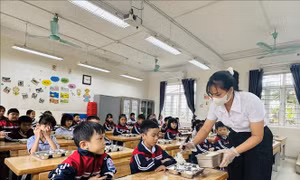 Thủ tướng Chính phủ yêu cầu tăng cường bảo đảm an toàn thực phẩm trong cơ sở giáo dục