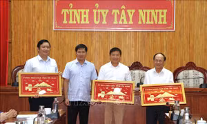 Hỗ trợ kinh phí xây dựng 36 'Mái ấm Công đoàn'