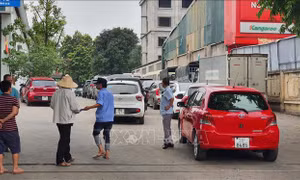 Công bố đường dây nóng tiếp nhận phản ánh về 'cò mồi' và tiêu cực đăng kiểm
