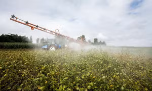 FAO quan ngại về việc gia tăng sử dụng thuốc trừ sâu
