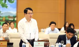 Điều động, bổ nhiệm Phó Thống đốc Ngân hàng Nhà nước Việt Nam và Thứ trưởng Bộ Tài chính