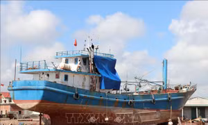 Bất cập khi triển khai Nghị định 67: Từ ngư dân giỏi thành con nợ xấu