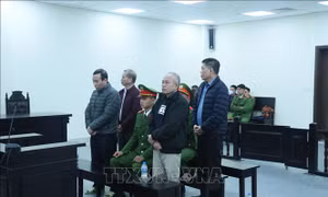 Hai cựu lãnh đạo Ban Quản lý dự án Đắk Lắk cùng kháng cáo xin giảm nhẹ hình phạt