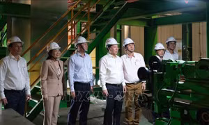 Chủ động ứng phó, không để xảy ra tình trạng thiếu điện