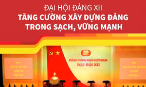 Đại hội Đảng XII: Tăng cường xây dựng Đảng trong sạch, vững mạnh