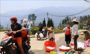 Sa Pa thiếu nước sinh hoạt trầm trọng, đe dọa du lịch dịp nghỉ lễ 30/4 - 1/5