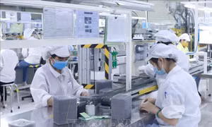 Việt Nam cần tập trung vào phân khúc có lợi thế trong chuỗi giá trị công nghệ toàn cầu