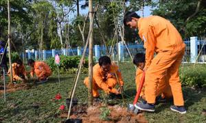 Các địa phương hưởng ứng Chiến dịch Giờ Trái đất năm 2019 