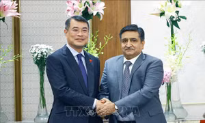 Thủ tướng Lê Minh Hưng đề nghị Tập đoàn ACME mở rộng hợp tác, đầu tư tại Việt Nam