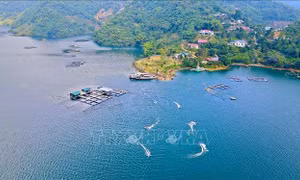 Đánh thức tiềm năng du lịch bản Bích Trụ vùng lòng hồ sông Đà 