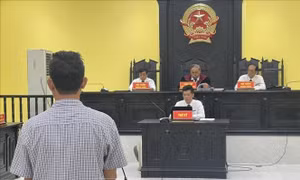 Xử lý nghiêm chủ tàu thu mua hải sản trái phép trên vùng biển nước ngoài