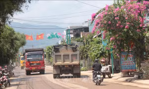 Thi công cao tốc gây bụi bẩn, tiếng ồn, ảnh hưởng cuộc sống người dân