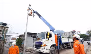 Truyền tải điện trực ban 24/24 giờ, không chủ quan trước bão WIPHA
