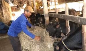 Mở rộng nguồn vốn hỗ trợ người dân