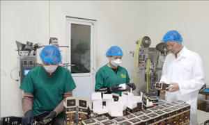 Hội nhập quốc tế về sở hữu trí tuệ đáp ứng yêu cầu phát triển đất nước