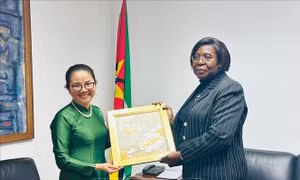 Thủ tướng Mozambique cam kết thúc đẩy hợp tác toàn diện với Việt Nam