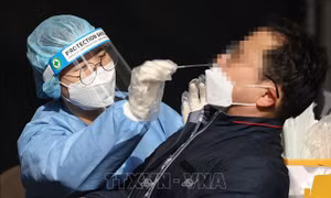 Hàn Quốc công bố kế hoạch tiêm mũi 4 cho nhóm nguy cơ cao