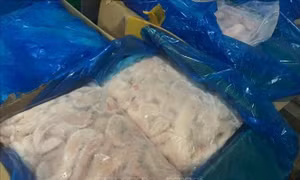 Ngăn chặn hơn 7 tấn nội tạng động vật không rõ nguồn gốc 'tuồn' ra thị trường