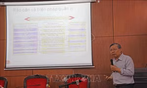 Tìm giải pháp chống sạt lở bờ sông Krông Nô