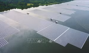 Malaysia có tiềm năng để trở thành trung tâm sản xuất pin năng lượng hydro