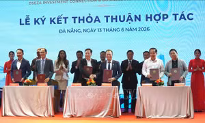 Bổ sung 34 thủ tục hành chính đặc thù cho Khu thương mại tự do Đà Nẵng