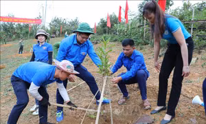Tăng năng lực thích ứng biến đổi khí hậu, phát triển kinh tế - xã hội vùng sâu, vùng xa