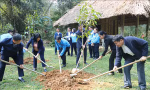 Bắc Kạn: Khởi động Tháng thanh niên và Tết trồng cây 'Đời đời nhớ ơn Bác Hồ'