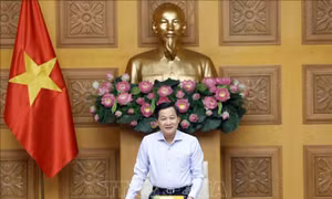Hoàn thiện dự thảo Báo cáo trình Bộ Chính trị về tình hình kinh tế - xã hội 6 tháng đầu năm