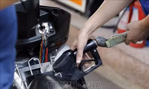 Người dân Đồng Nai phải mua xăng lẻ giá 'chợ đen'