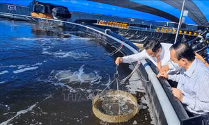 Thúc đẩy đổi mới sáng tạo, nâng cao năng suất, chất lượng hàng hóa, sản phẩm