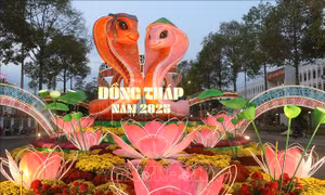 Đồng Tháp: Khai mạc Đường hoa xuân Tết Ất Tỵ 2025