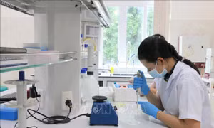 Chính sách hỗ trợ, khuyến khích doanh nghiệp ứng dụng, đổi mới công nghệ