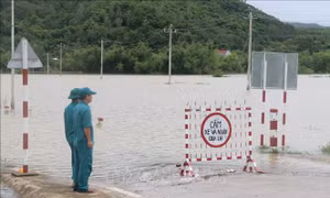 Lũ khẩn cấp trên các sông từ Quảng Ngãi đến Phú Yên