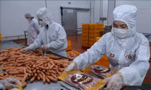 Nhận diện yếu tố tác động đến doanh nghiệp nông nghiệp trong năm 2023