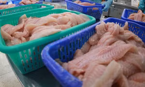 SPS Việt Nam: Doanh nghiệp nông, thủy sản cần nắm vững quy định của thị trường