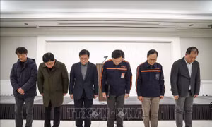 Cảnh sát Hàn Quốc cấm CEO hãng Jeju Air rời khỏi đất nước