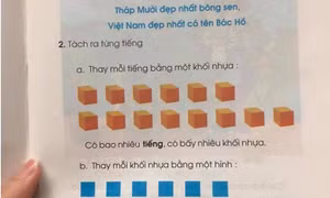Thực hư dạy trẻ cách đọc theo dấu chấm, ô vuông