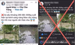 Thông tin cá sấu 'khổng lồ' nổi trên kênh xáng Nàng Mau là bịa đặt