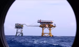 Đoàn đại biểu kiều bào thăm, động viên quân dân huyện đảo Trường Sa và Nhà giàn DK1