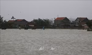 Lũ trên các sông ở Phú Yên đang lên rất nhanh
